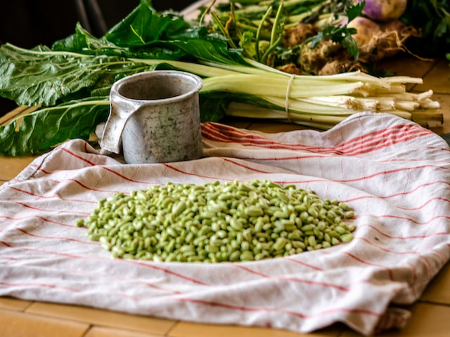 菽是指哪类农作物(菽是指哪类农作物)