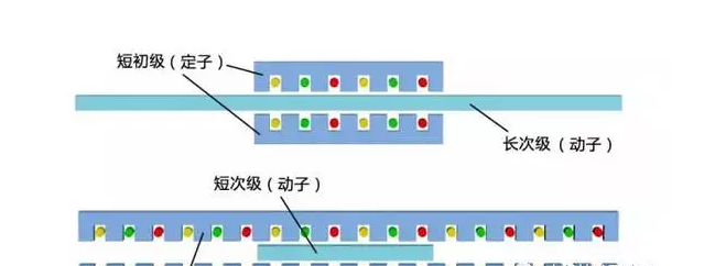 [直線電機的分類]有哪些類型的直線電機？其結(jié)構(gòu)如何？